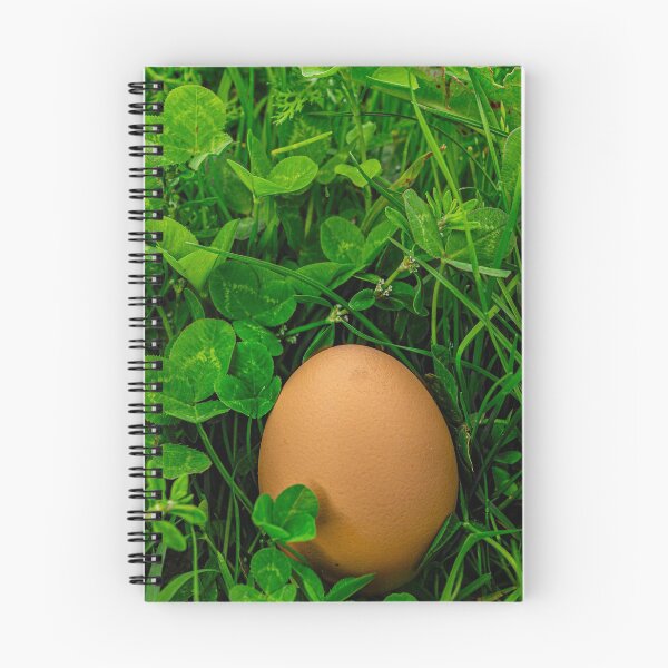 Item preview, Egg designed and sold by Francesko221.