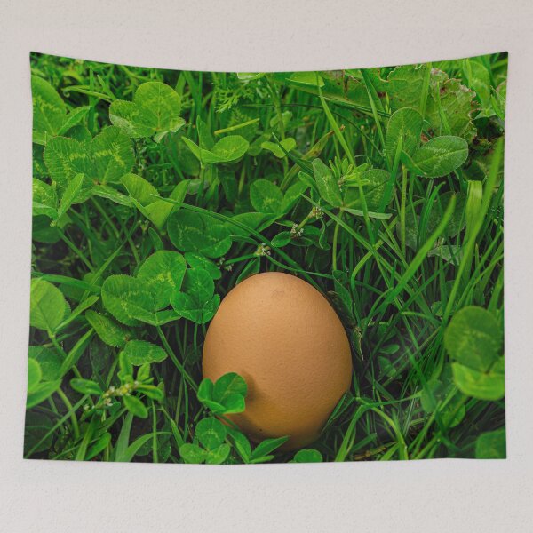 Item preview, Egg designed and sold by Francesko221.