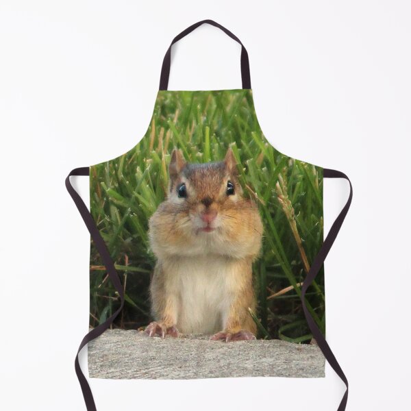 Item preview, Peek A Boo designed and sold by Susie Kramer.