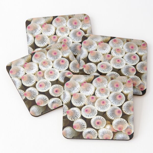 Item preview, White Bubble Anemone designed and sold by ISLANDEXPOSURE.