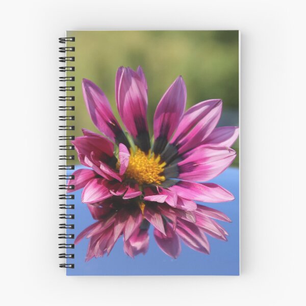 Item preview, Reflect designed and sold by hevansphoto98.