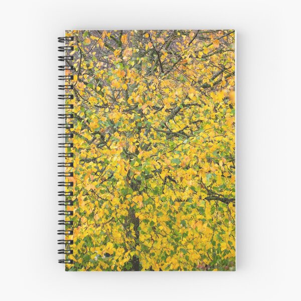 Item preview, autumn colour designed and sold by markspics.