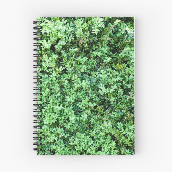 Item preview, box hedging pattern designed and sold by markspics.