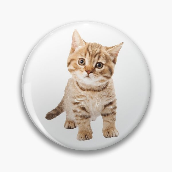 Item preview, Cute cat moving his heat kitty designed and sold by PetsLoverscute.