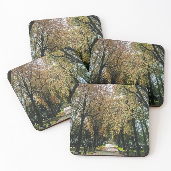 Item preview, Autumn colours in Manchester, England designed and sold by SarahStephensPh.