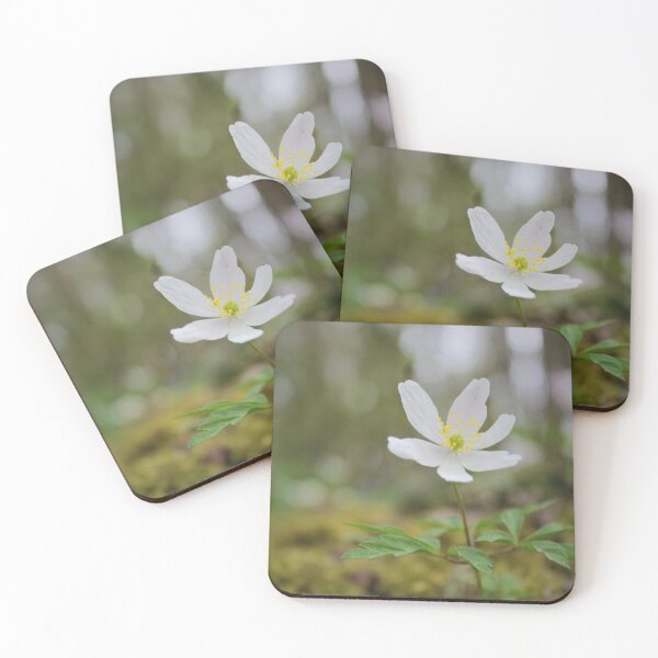 Item preview, White Flower Bokeh designed and sold by hevansphoto98.