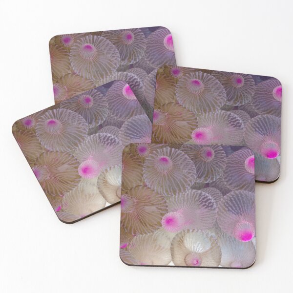 Item preview, Pink Bubble Anemone designed and sold by ISLANDEXPOSURE.