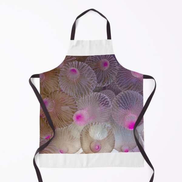 Item preview, Pink Bubble Anemone designed and sold by ISLANDEXPOSURE.