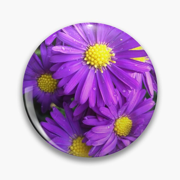 Item preview, Purple Aster Flowers  designed and sold by pluspixels.