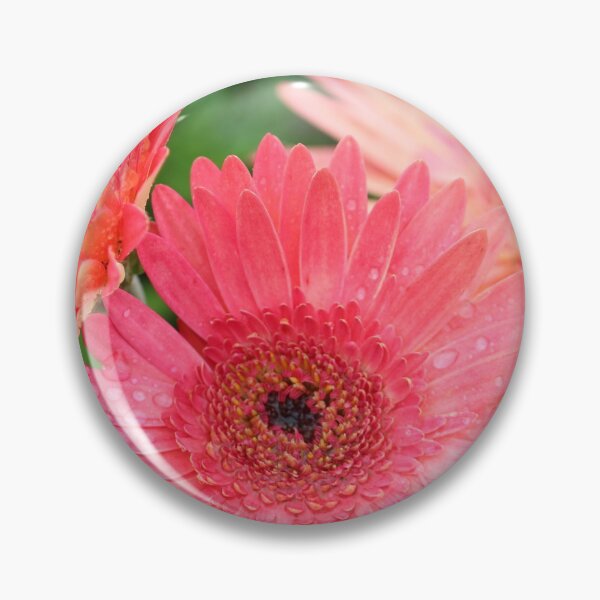 Item preview, Gerber Daisy Trio designed and sold by Susie Kramer.
