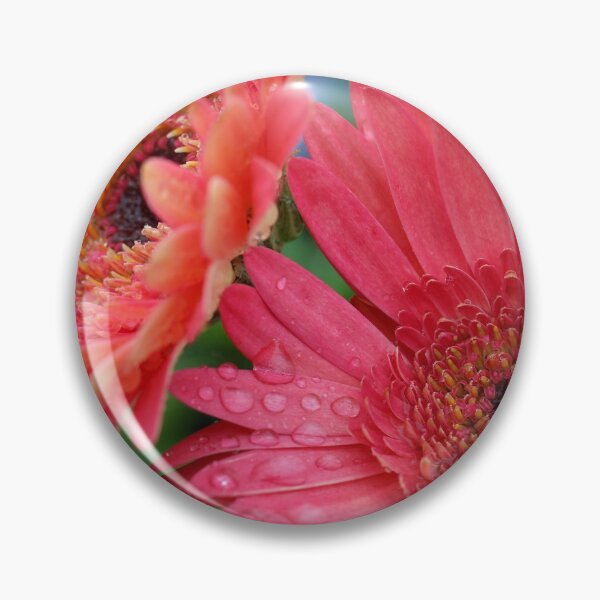 Item preview, Pink Gerber Daisy with Rain Drops designed and sold by Susie Kramer.