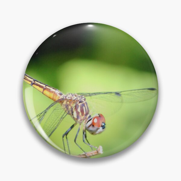 Item preview, Dragon Fly 3 designed and sold by Susie Kramer.