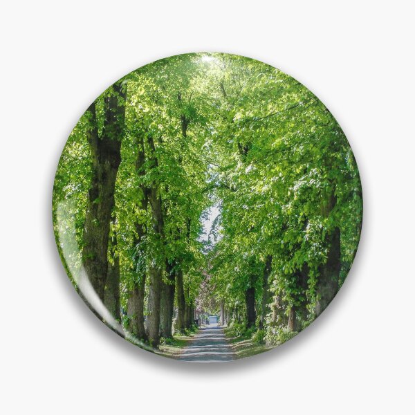 Item preview, Summer walk amongst trees in Manchester designed and sold by SarahStephensPh.