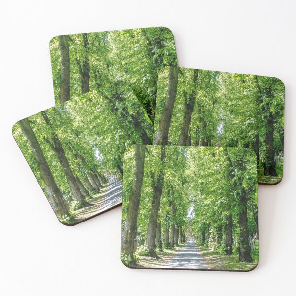 Item preview, Summer walk amongst trees in Manchester designed and sold by SarahStephensPh.