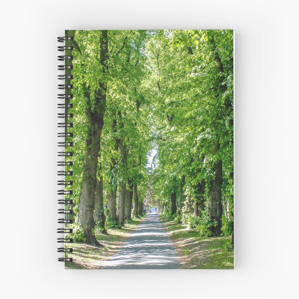 Item preview, Summer walk amongst trees in Manchester designed and sold by SarahStephensPh.