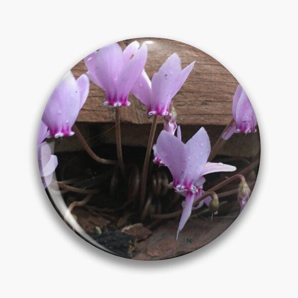 Item preview, Pink Cyclamen Flowers  designed and sold by pluspixels.