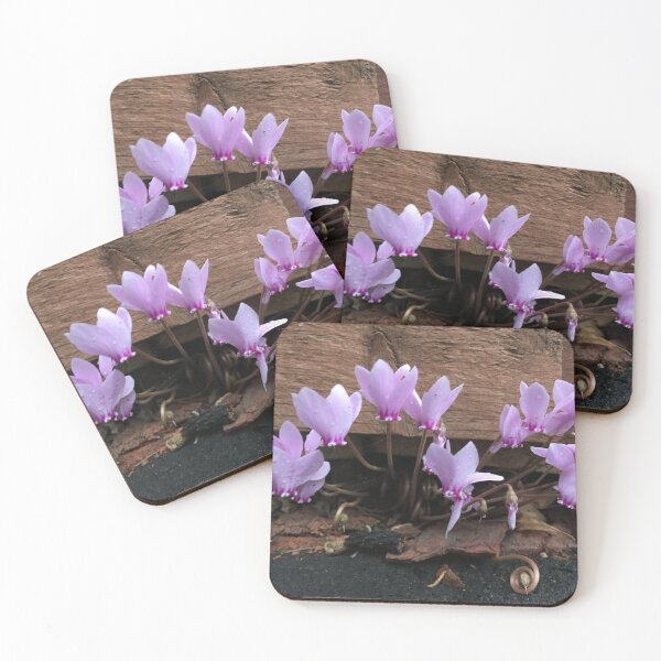 Item preview, Pink Cyclamen Flowers  designed and sold by pluspixels.