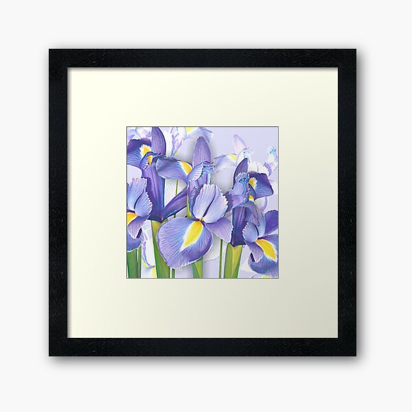 Springtime Irises Framed Art Print