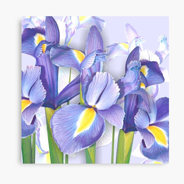 Springtime Irises Canvas Print