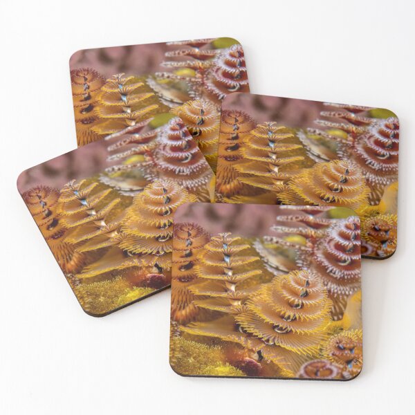 Item preview, Sea Trees designed and sold by ISLANDEXPOSURE.