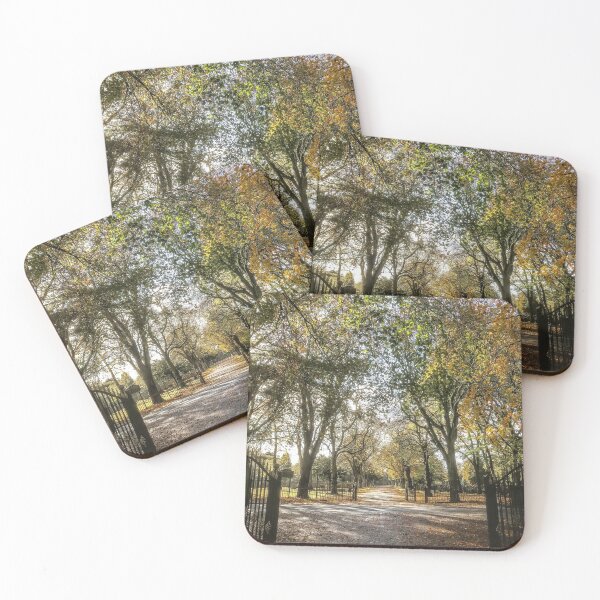 Item preview, Golden early autumn colours in Manchester designed and sold by SarahStephensPh.