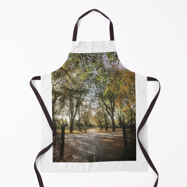 Item preview, Golden early autumn colours in Manchester designed and sold by SarahStephensPh.