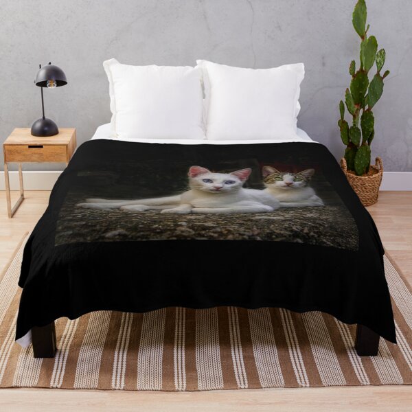 Aperçu de l'œuvre Chatte Chatte, Chatte Chatte Je T'aime créée et vendue par Incakola1.