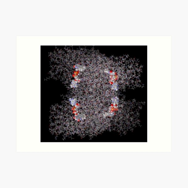 Molecular Dynamics Simulation Art Print