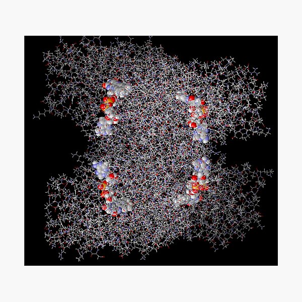 Molecular Dynamics Simulation Photographic Print