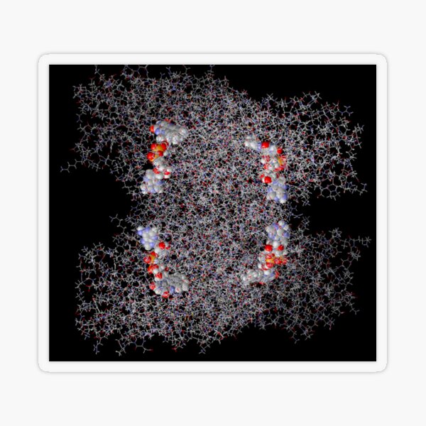 Molecular Dynamics Simulation Transparent Sticker