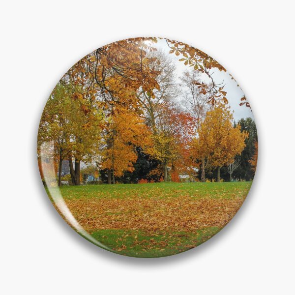 Item preview, Autumn colours in Chorlton Park Manchester designed and sold by SarahStephensPh.