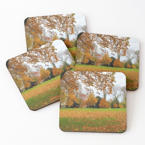 Item preview, Autumn colours in Chorlton Park Manchester designed and sold by SarahStephensPh.