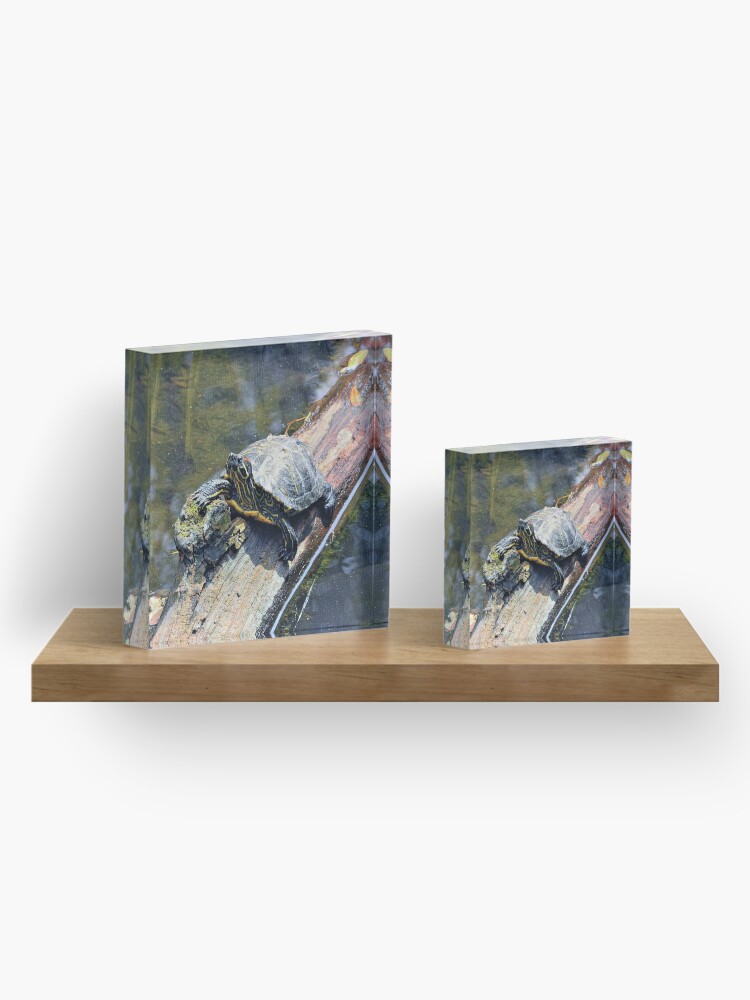 Alternate view of Painted Turtle Acrylic Block