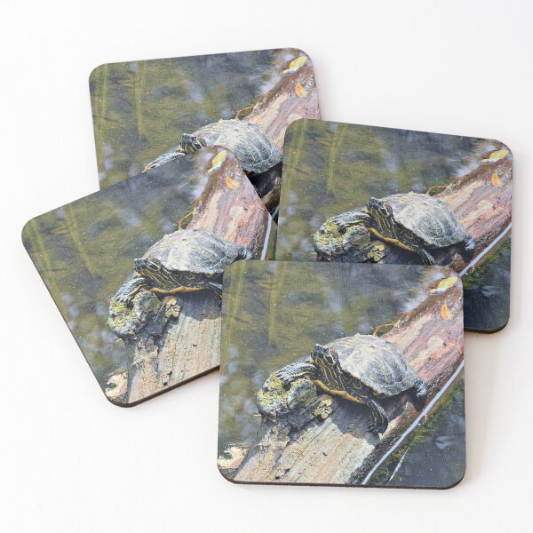 Item preview, Painted Turtle designed and sold by DonnaM.