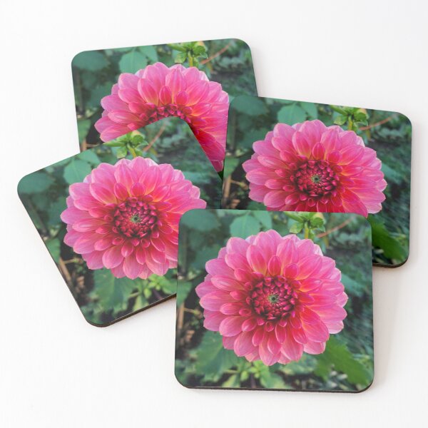 Item preview, Bright Pink Dahlia Flower designed and sold by tammyschroder.