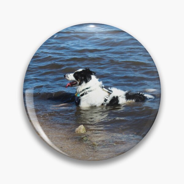 Item preview, Australian Shepherd Relaxing in the Water designed and sold by banditandkoko.