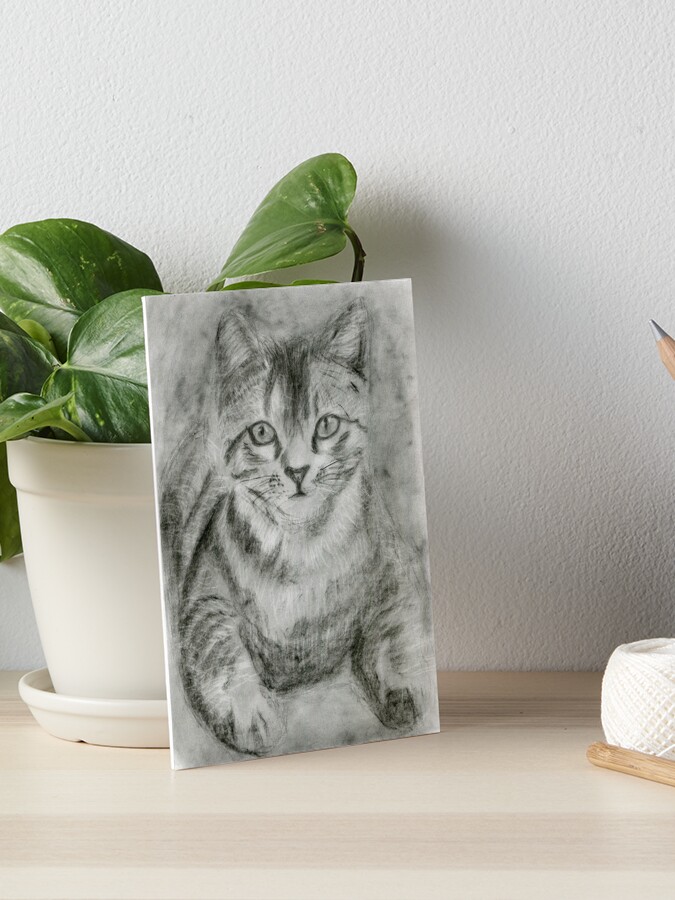 Cat Print, Cat Drawing, Cat Wall Art, Cat Black and White, Gift