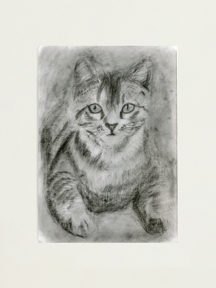 Cat Print, Cat Drawing, Cat Wall Art, Cat Black and White, Gift