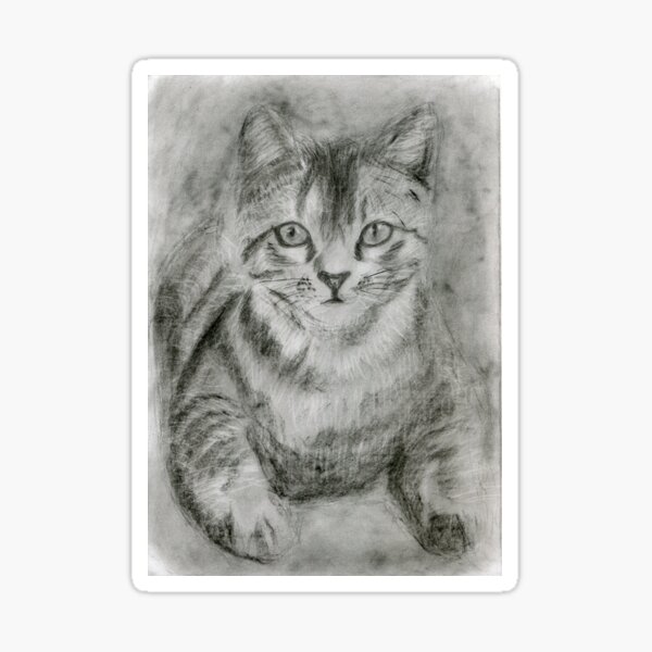 Realistic Cat Drawing Art - Black and White Cat (gift for cat lovers) Sticker