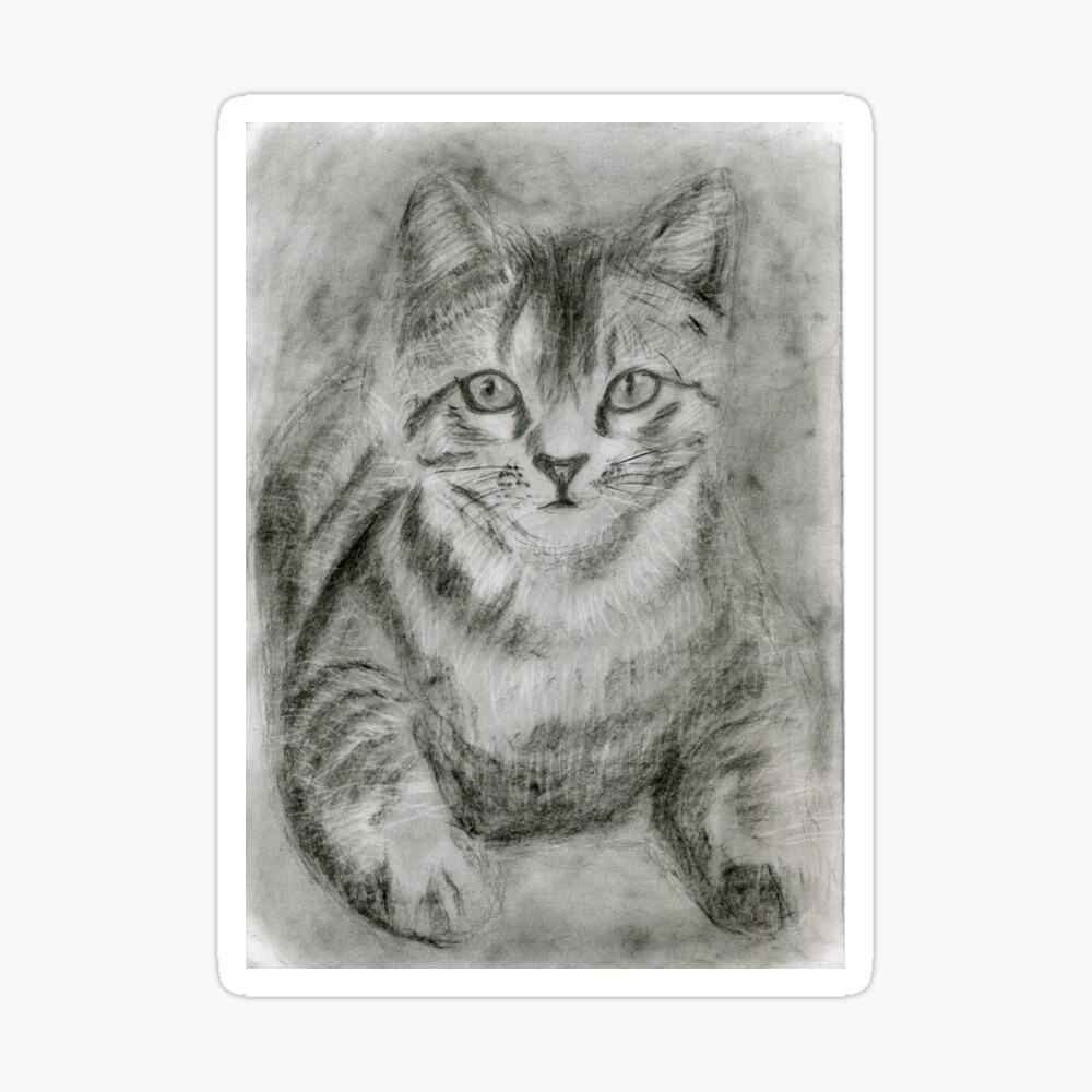 Impression rigide for Sale avec l'œuvre « Chat au volant d'une voiture -  Cadeaux drôles de chat pour les amoureux des chats » de l'artiste haRexia