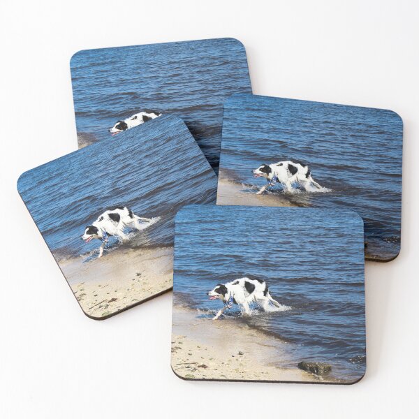 Item preview, Australian Shepherd Done Swimming designed and sold by banditandkoko.