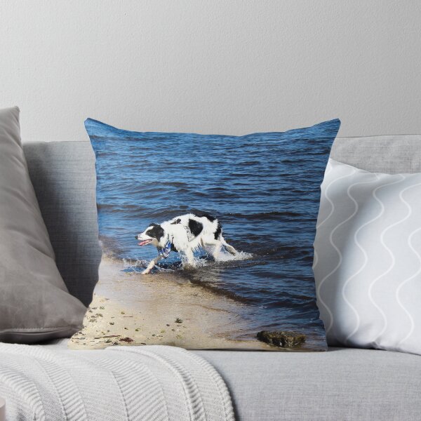 Item preview, Australian Shepherd Done Swimming designed and sold by banditandkoko.