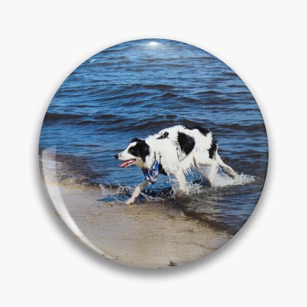 Item preview, Australian Shepherd Done Swimming designed and sold by banditandkoko.