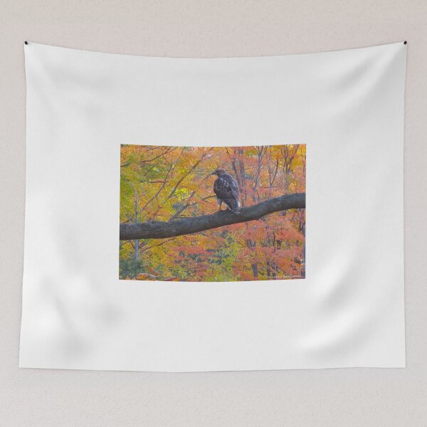 Item preview, Hawkish designed and sold by MarianBendeth.