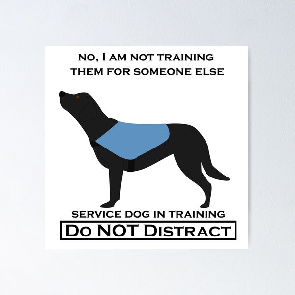 Item preview, No, I Am Not Training Them For Anyone Else (Labrador black, service dog) designed and sold by TheMalPals.