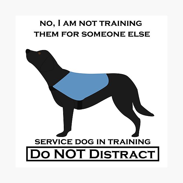 Item preview, No, I Am Not Training Them For Anyone Else (Labrador black, service dog) designed and sold by TheMalPals.