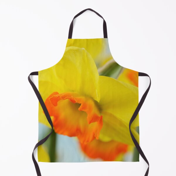 Item preview, Narcissus 'Bantam' AGM Division 2 Large-cupped Daffodil designed and sold by Chris Burrows.