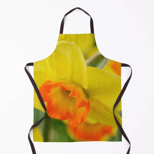 Item preview, Narcissus 'Bantam' AGM Division 2 Large-cupped Daffodil designed and sold by Chris Burrows.