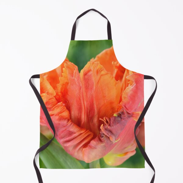 Item preview, Tulipa 'Monarch Parrot' Tulip Parrot Group designed and sold by Chris Burrows.