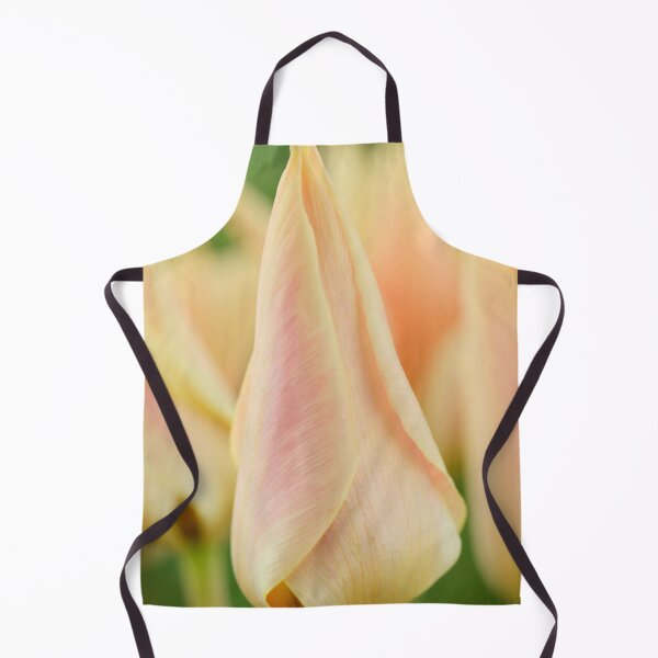 Item preview, Tulipa 'Fur Elise' Tulip Greigii Group designed and sold by Chris Burrows.